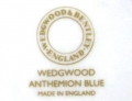 WWアンセミオンブルー　ロゴ